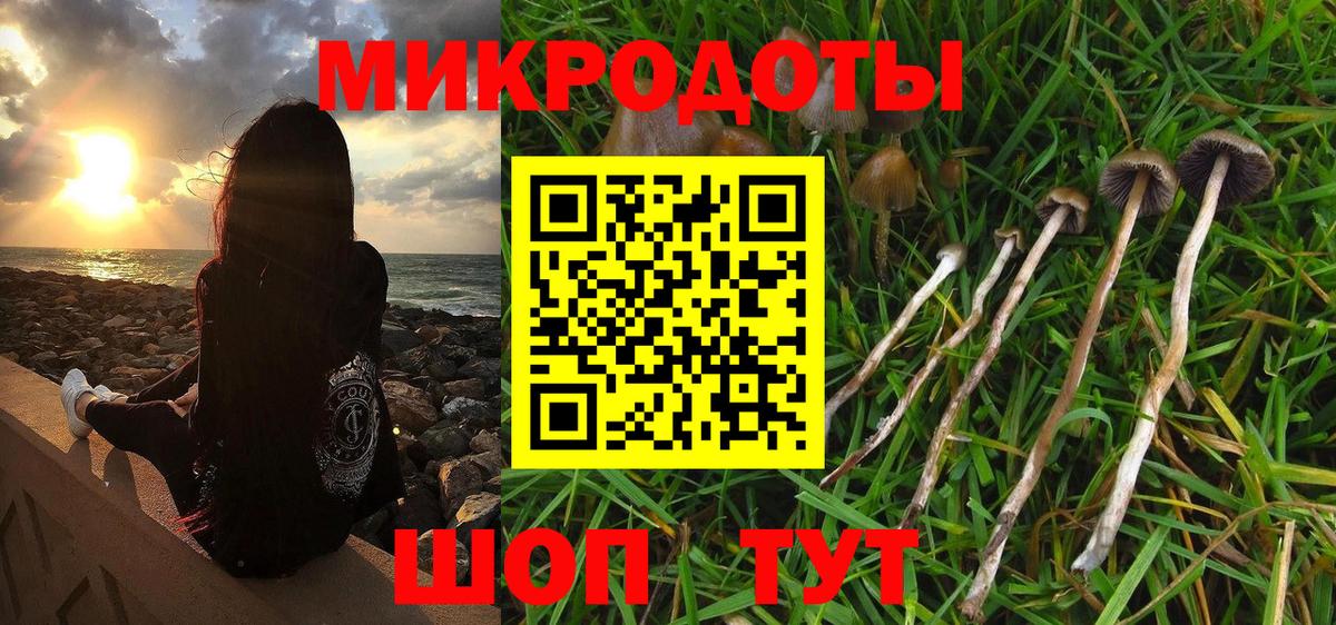 Галлюциногенные грибы мицелий Чусовой